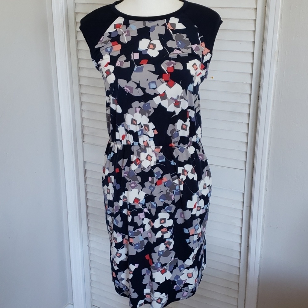 Banana Republic Floral Print Sleeveless Dress